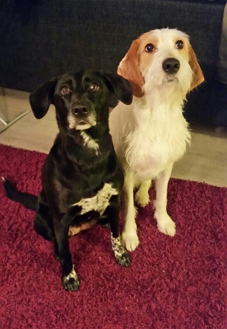 img-20151108-wa0001-1